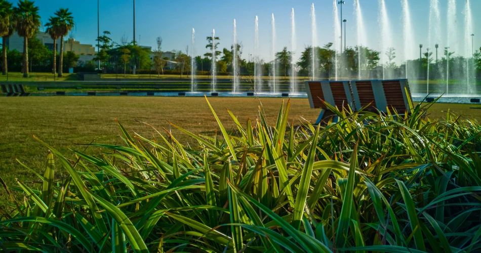 Kuveyt Şehri'ni Keşfetmek için Hızlı Seyahat İpuçları