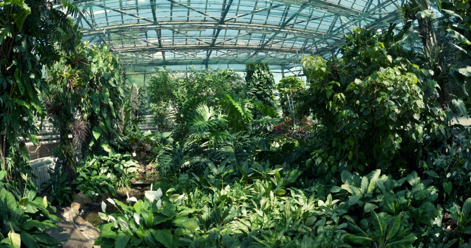 Best Parks and Outdoor Spaces in Kuwait