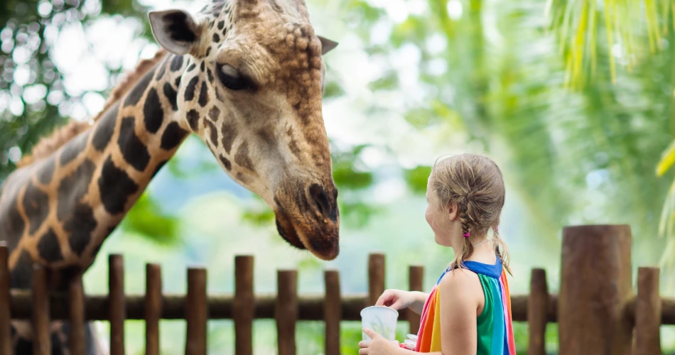 Best Parks and Outdoor Spaces in Kuwait